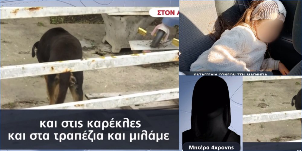 Το ρεπορτάζ του ALPHA για το δάγκωμα αδέσποτου σκύλου σε παιδί