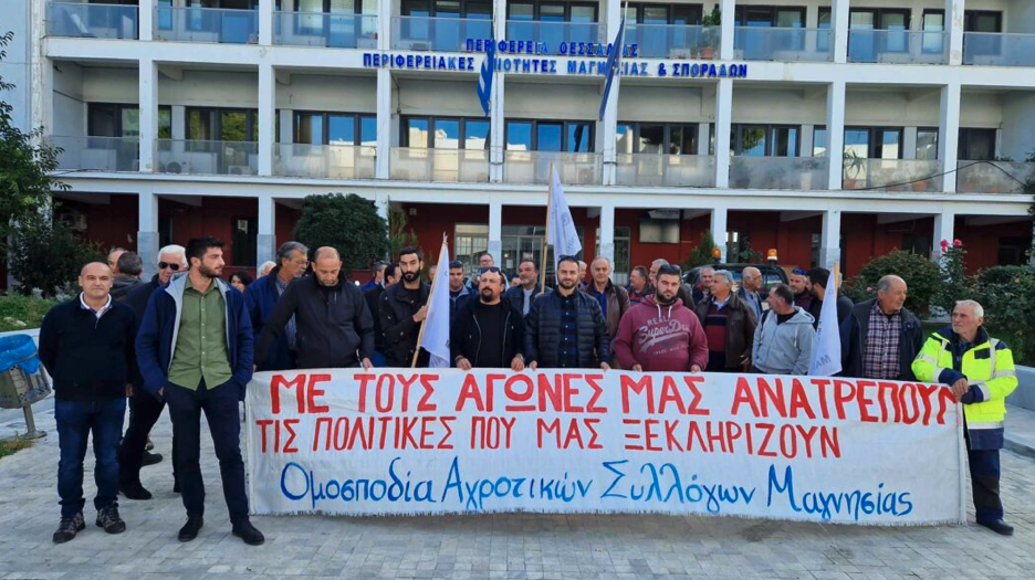 «Στενάζουν» οι ελαιοπαραγωγοί – Πέρασαν τα όρια αντοχής τους