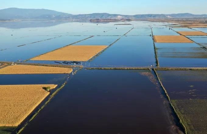 Ποια μόνιμη λύση προτείνει για την Κάρλα ο Καθηγητής του Π.Θ. Νικόλαος Δαναλάτος