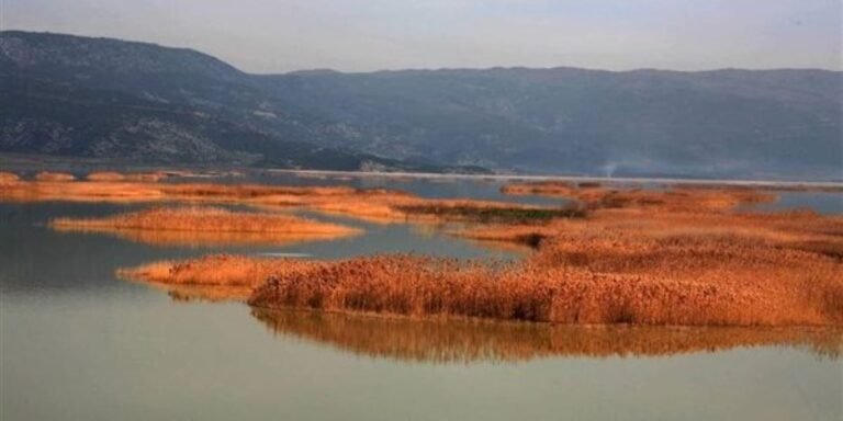 Άμεση λύση «για την επιβίωση των κτηνοτρόφων» ζητάει η Περιβαλλοντική Πρωτοβουλία Μαγνησίας