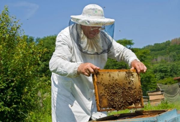 Παράδοση - Παλαβή Δελτίου Ατομικής Ψηφιακής Μελισσοκομικής Ταυτότητας