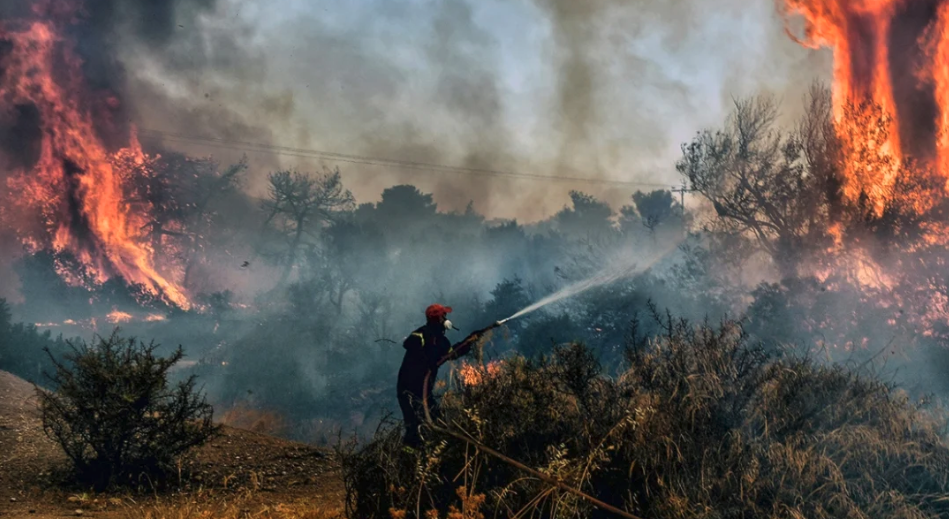 Καταβολή 3 εκατ. ευρώ από ΕΛΓΑ στη Μαγνησία