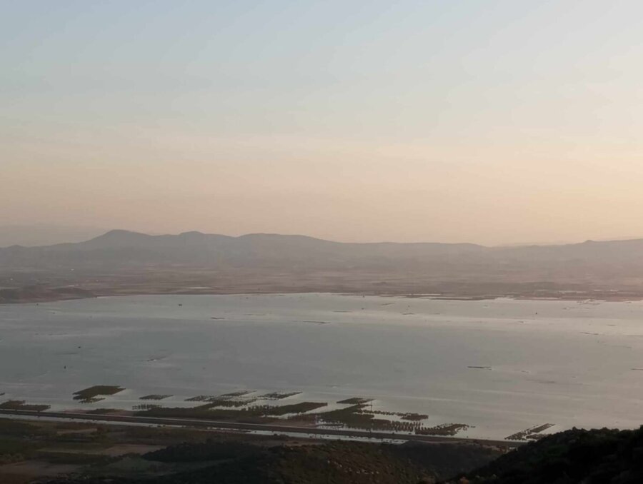 Περιφέρεια: Ελεγχόμενη η κατάσταση με τα κουνούπια στις παρακάρλιες περιοχές