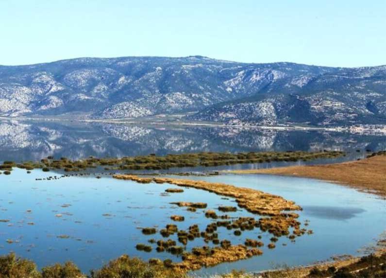 Παρεμβάσεις για τα κουνούπια