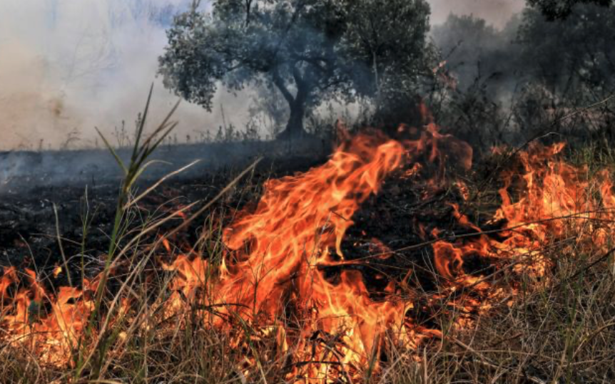 Φωτιά στα όρια του Αερινού αντιμετωπίστηκε από την Πυροσβεστική