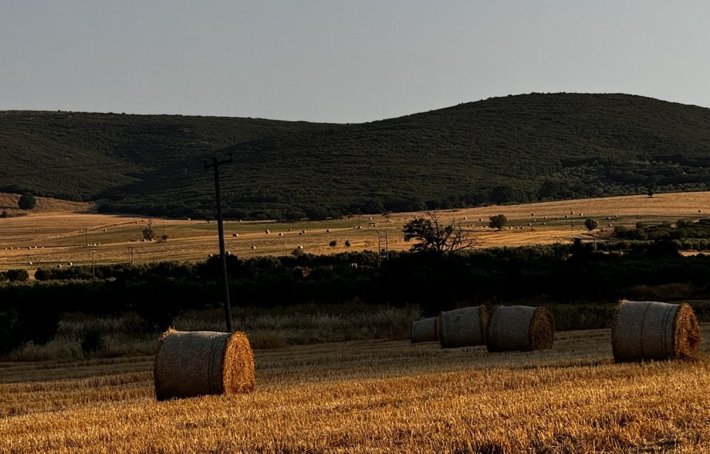 Νέο έκτακτο δελτίο για το κύμα καύσωνα: Έρχονται 43αρια