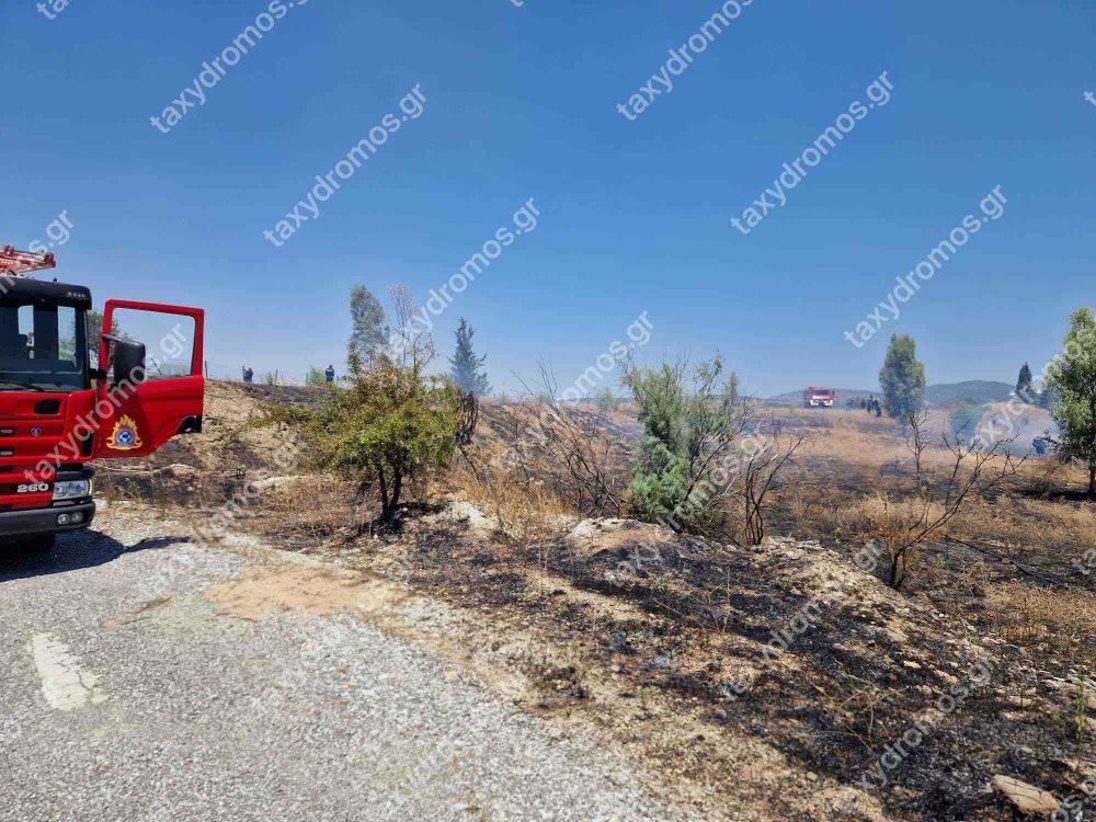 Φωτιά σε ξερά χόρτα στο Σέσκλο – Συναγερμός στην πυροσβεστική