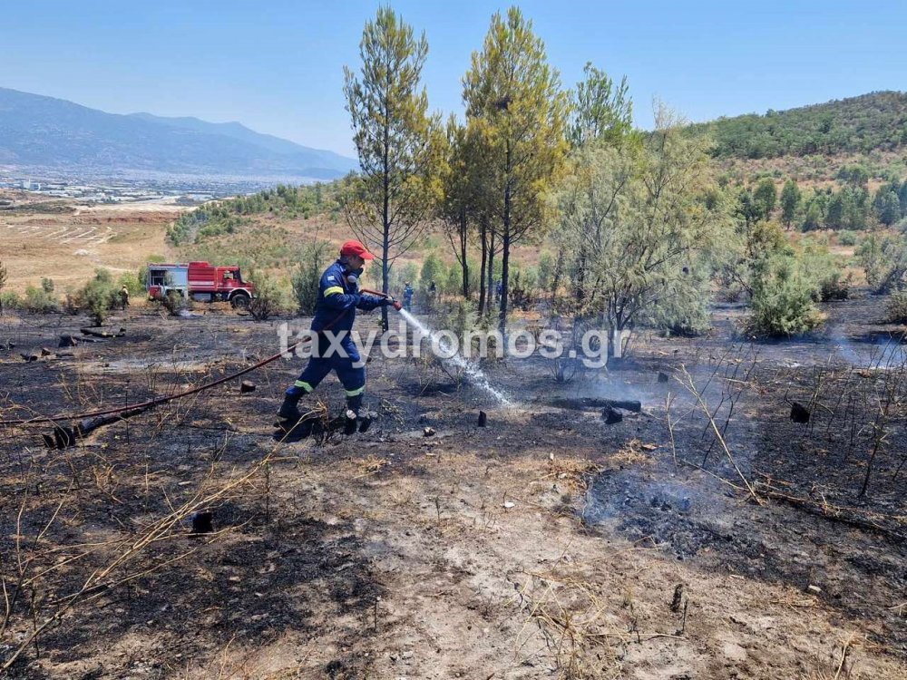 Τέθηκε υπό έλεγχο η φωτιά στο Σέσκλο