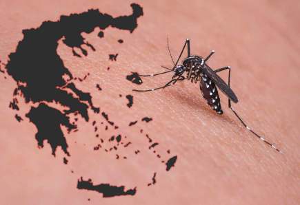 ΤΟΜΥ Ιωλκού: Δράση ενημέρωσης για τον Ιό του Δυτικού Νείλου