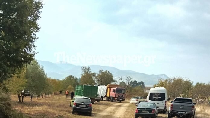 Για καύση στη Λάρισα τα νεκρά αιγοπρόβατα από την Μαγνησία