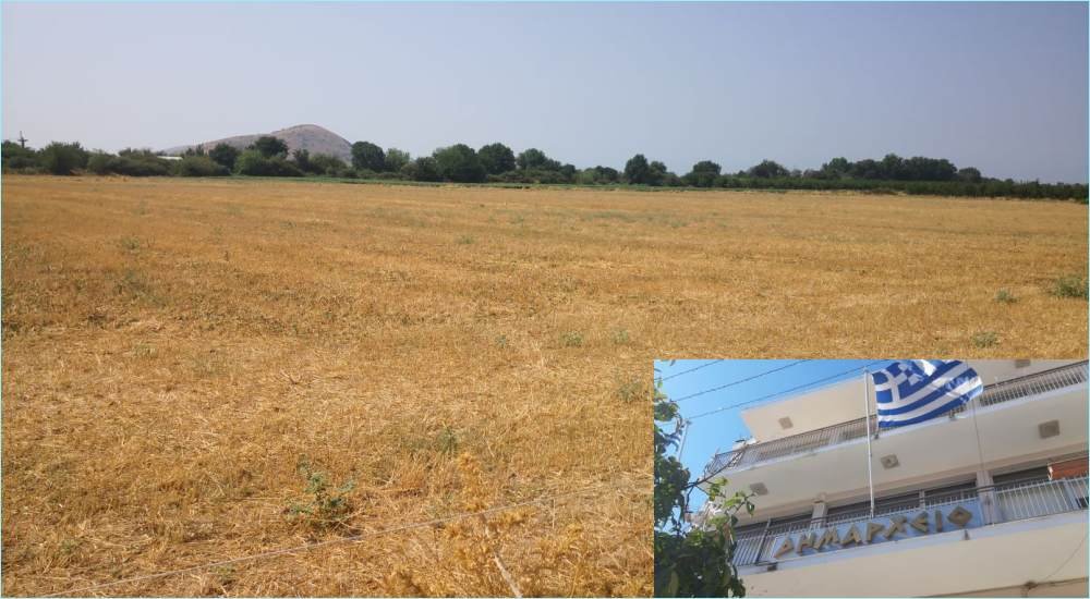 Την Δευτέρα 2 Δεκεμβρίου η δημοπρασία για την εκμίσθωση δημοτικών αγρών στη Δ.Ε. Φερών