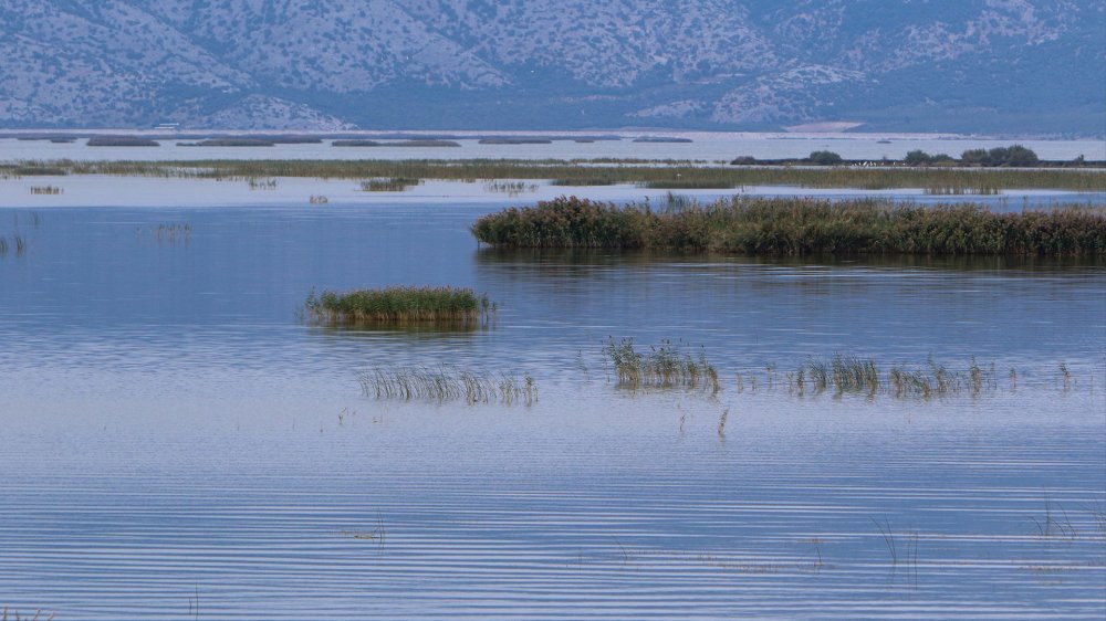 Σε πρόγραμμα εκσυγχρονισμού μεθόδων αποκατάστασης και διαχείρισης λιμνών η Κάρλα