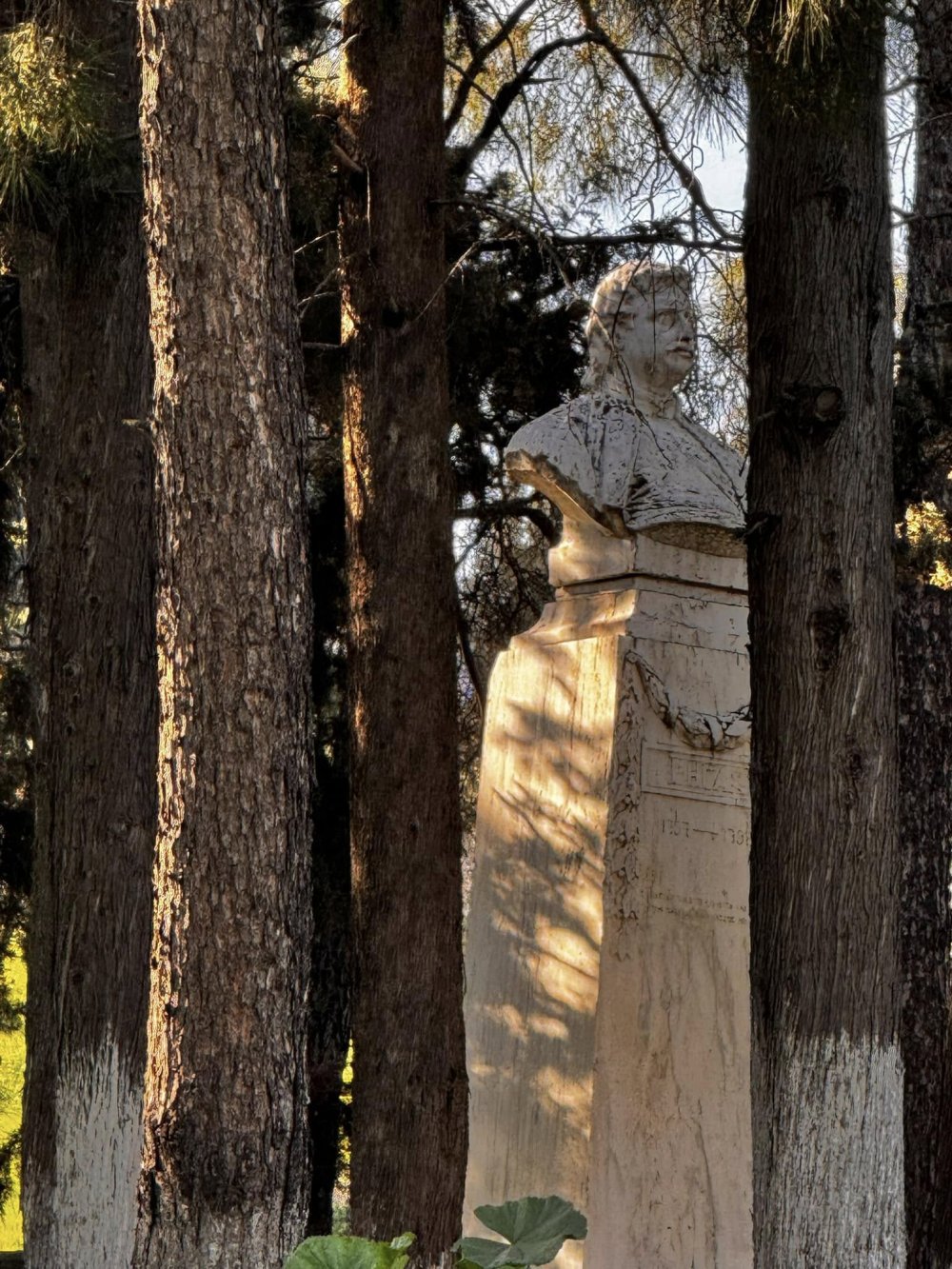 Ανοιξιάτικο Βελεστίνο
