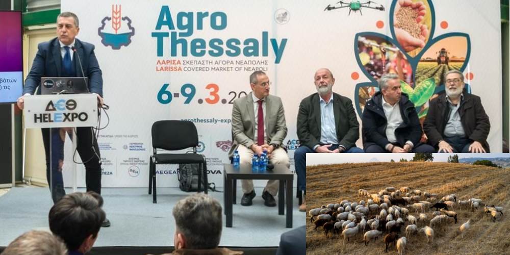 Θεσσαλία: Έρχεται η φυλή προβάτου «ΚαρΛα»