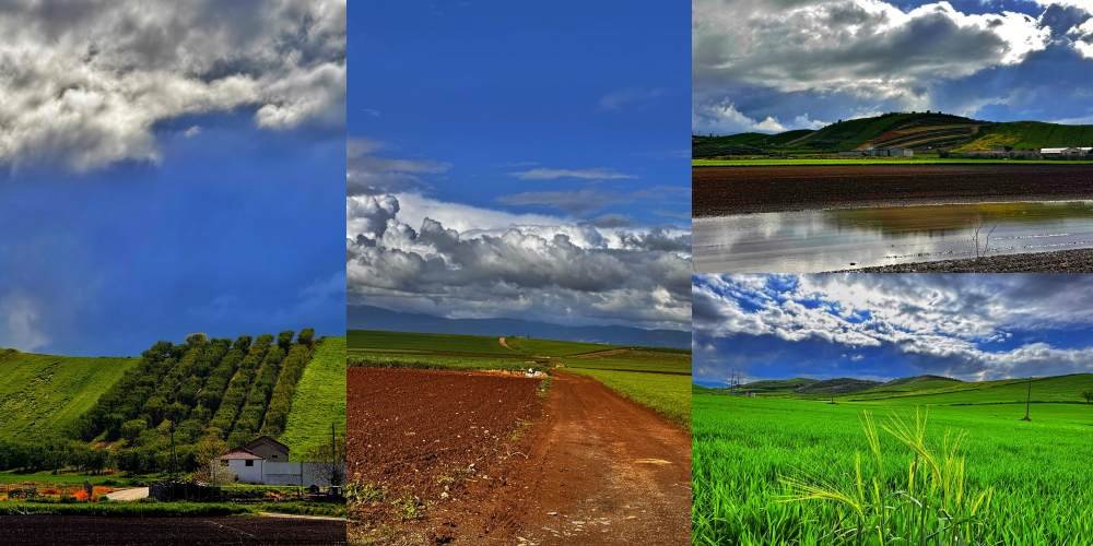 Η φύση νικά την τεχνητή νοημοσύνη (ακόμα)