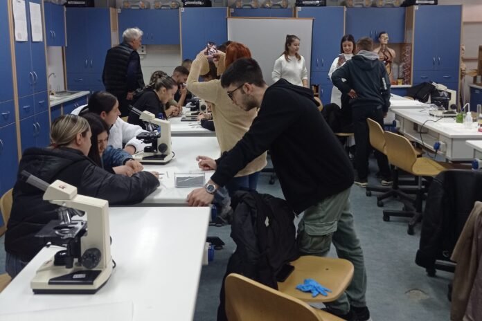 Συνεργατική δράση 4ου ΓΕΛ Βόλου και ΕΠΑΛ Βελεστίνου