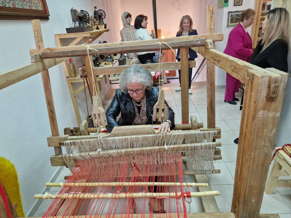 Εικόνες από την ημερίδα για την Ευρωπαϊκή Ημέρα Μαλλιού