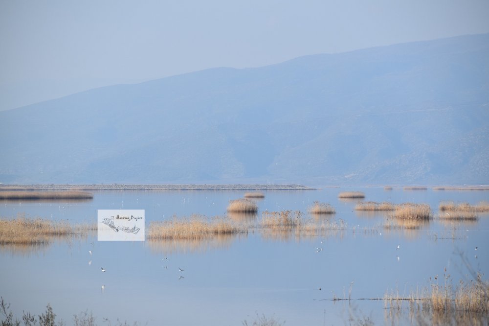 Σήμερα η νέα πεζοπορία στη λίμνη Κάρλα