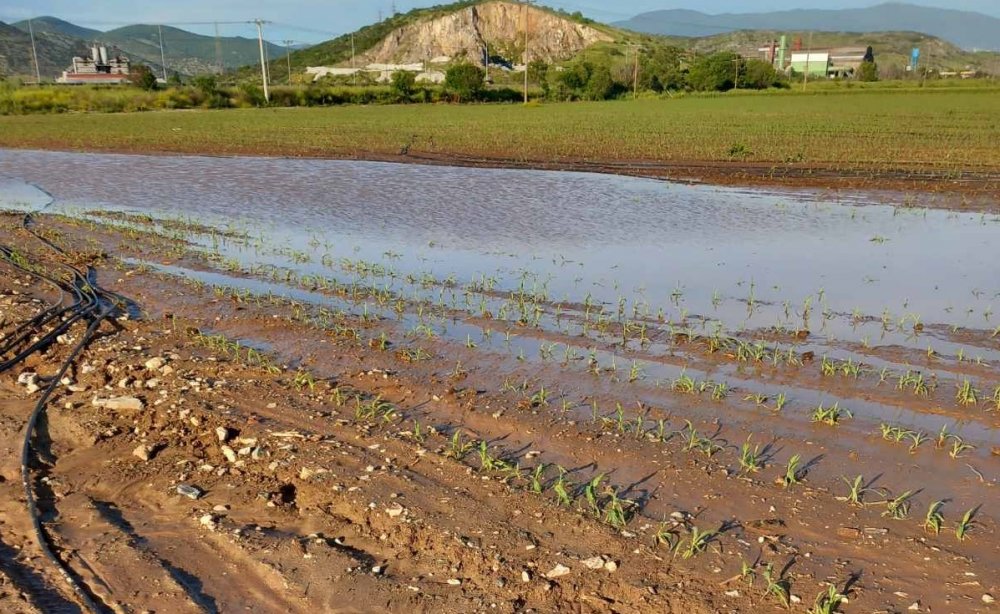 Κίνδυνος απώλειας της παραγωγής από το χαλάζι στον Άγιο Γεώργιο