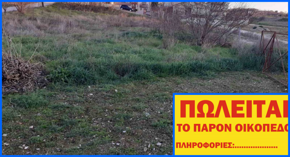 Βελεστίνο: Πού πωλούνται οικόπεδα