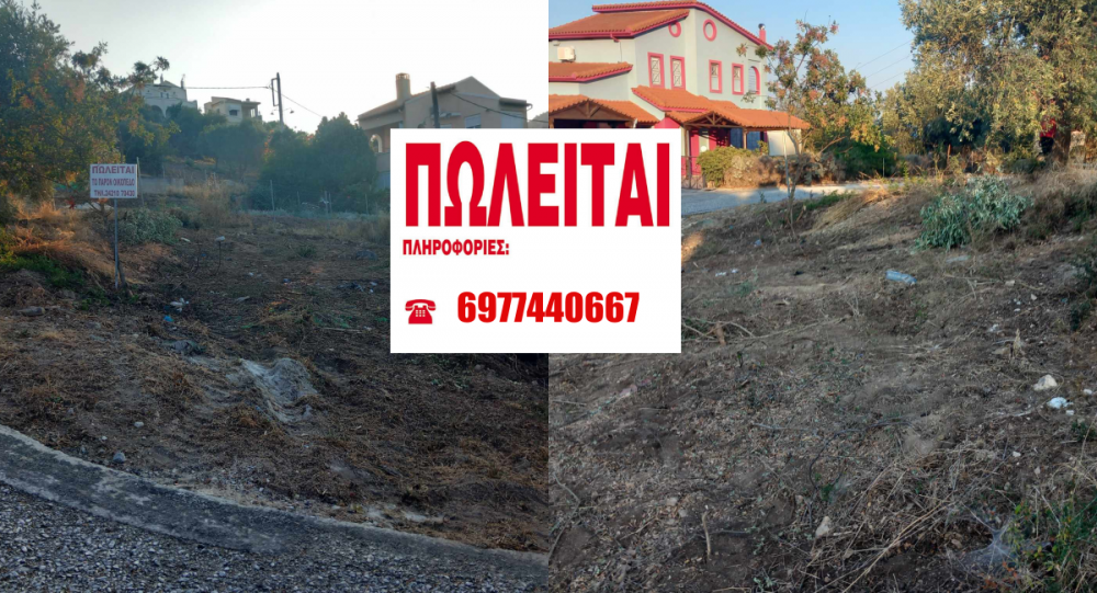 Πωλείται γωνιακό οικόπεδο στην Χρυσή Ακτή Παναγίας 