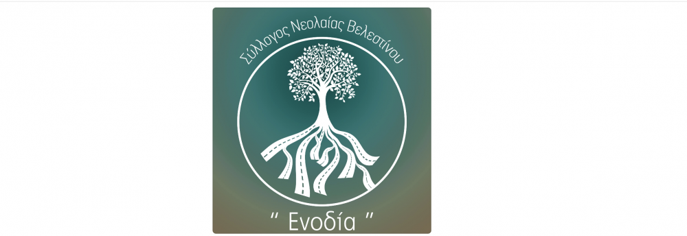 Το νέο Διοικητικό Συμβούλιο της Ενοδίας