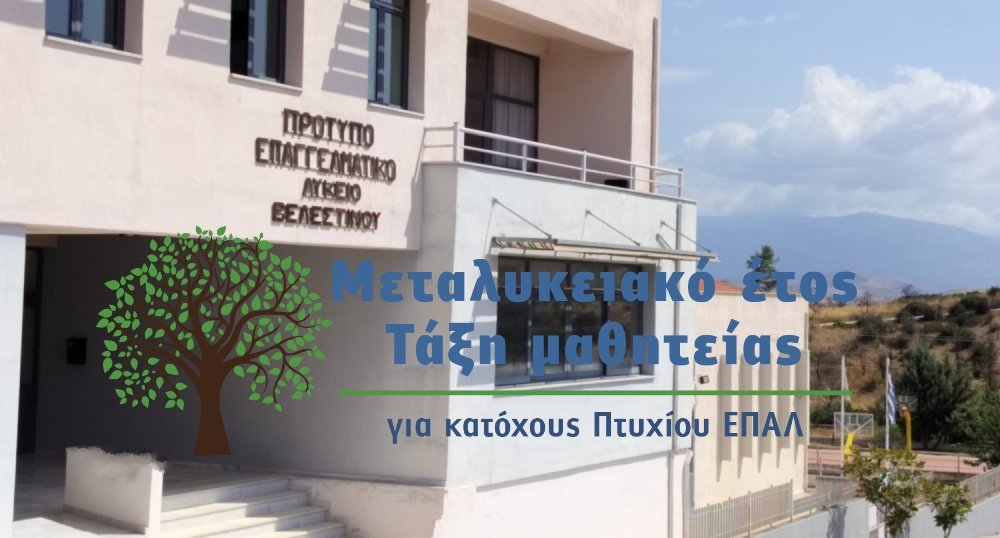 Πρότυπο ΕΠΑΛ Βελεστίνου: Αιτήσεις για συμμετοχή στο Μεταλυκειακό Έτος - Τάξη Μαθητείας 