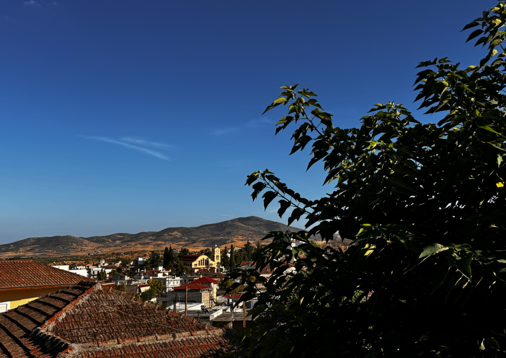 Πωλείται στο Βελεστίνο
