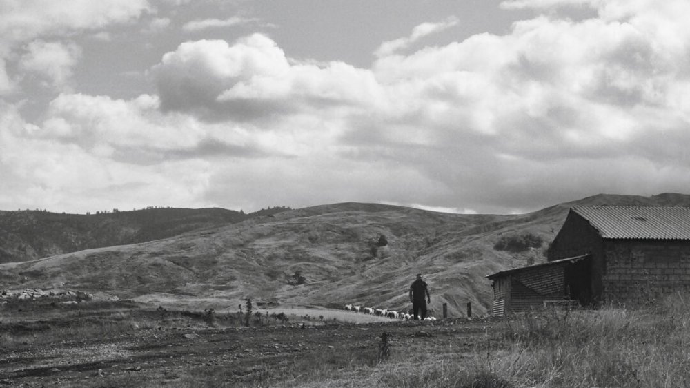 Μιλάει βλάχικα η Gen Z;