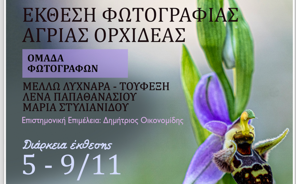 Σύλλογος Κερασιωτών: Έκθεση Φωτογραφίας με θέμα τις Άγριες Ορχιδέες και Παρουσίαση Ημερολογίου 2026