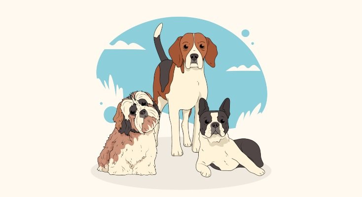 Συνάντηση για τα αδέσποτα ζώα