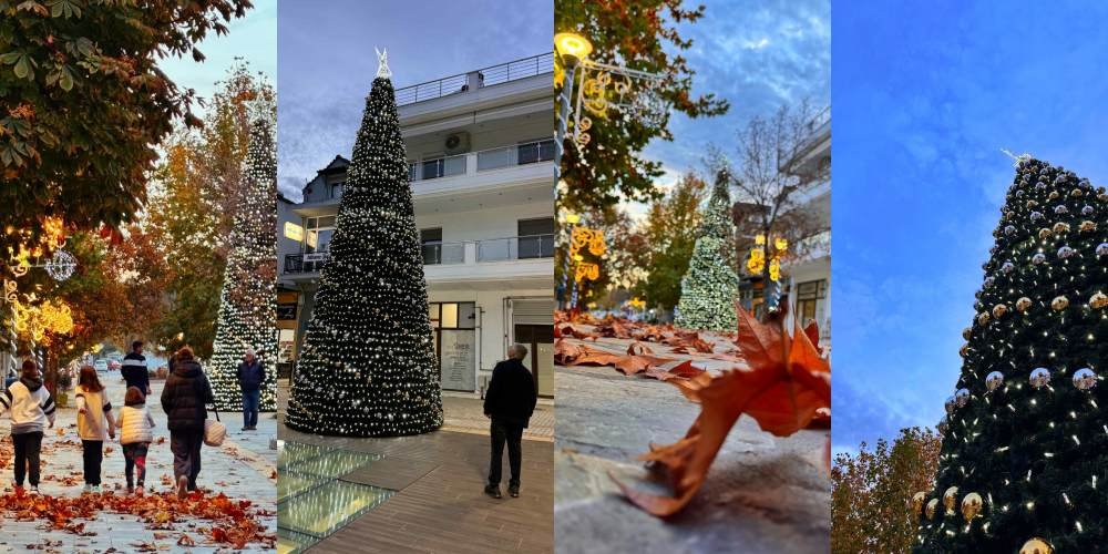 Δείτε το νέο Χριστουγεννιάτικο Δέντρο Φωταγωγημένο!