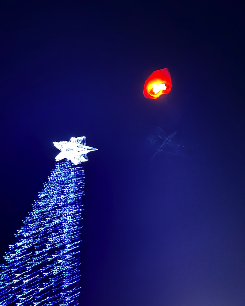 Εικόνες από την φωταγώγηση του χριστουγεννιάτικου δέντρου στο Αερινό