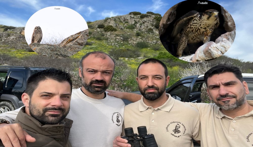 Ο Βαλτόμπουφος και το Χρυσογέρακο της Κάρλας     