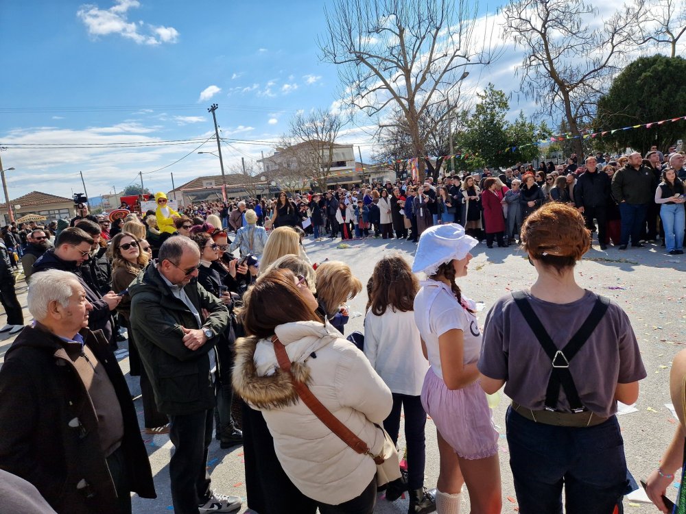 Με... Φραπέ και ΟΠΕΚΕΠΕ το Καρναβάλι Στεφανοβικείου