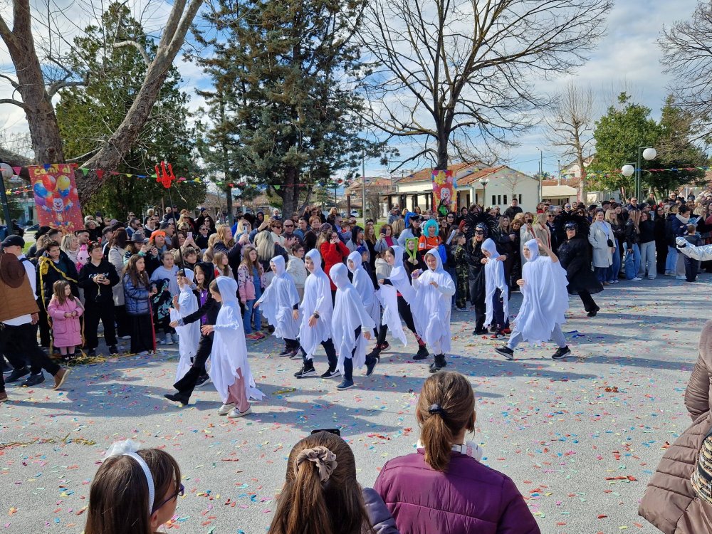 Με... Φραπέ και ΟΠΕΚΕΠΕ το Καρναβάλι Στεφανοβικείου