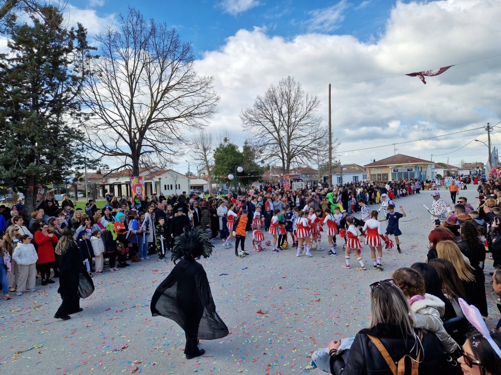 Με... Φραπέ και ΟΠΕΚΕΠΕ το Καρναβάλι Στεφανοβικείου