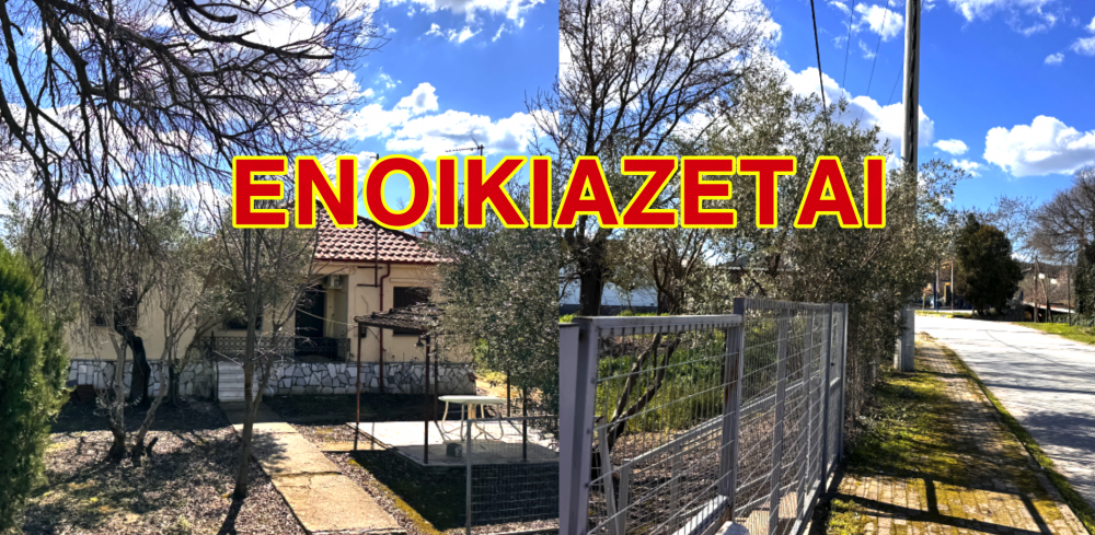 Ενοικιάζεται σπίτι στο Βελεστίνο        