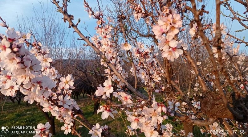 Σε ανοιξιάτικο τοπίο η πεζοπορία της Δευτέρας