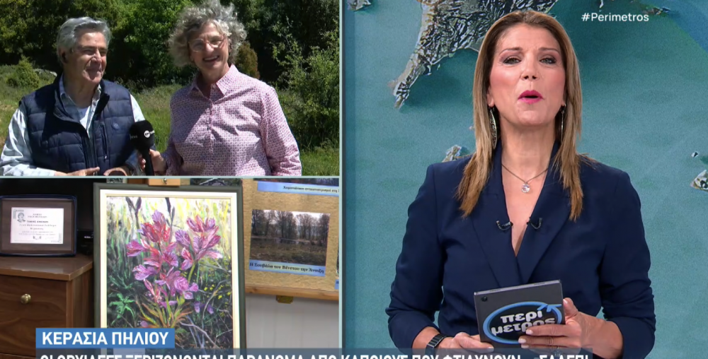 Το ρεπορτάζ της ΕΡΤ για τις αυτοφυείς ορχιδέες της Κερασιάς
