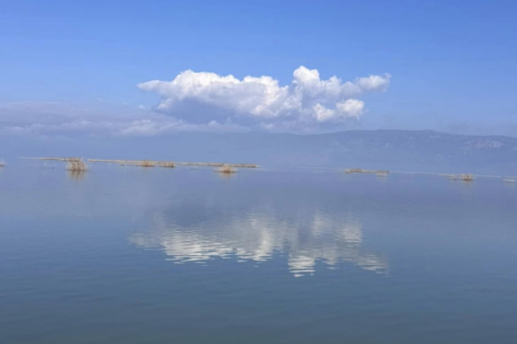 Το πρώτο BioBlitz στη λίμνη Κάρλα      