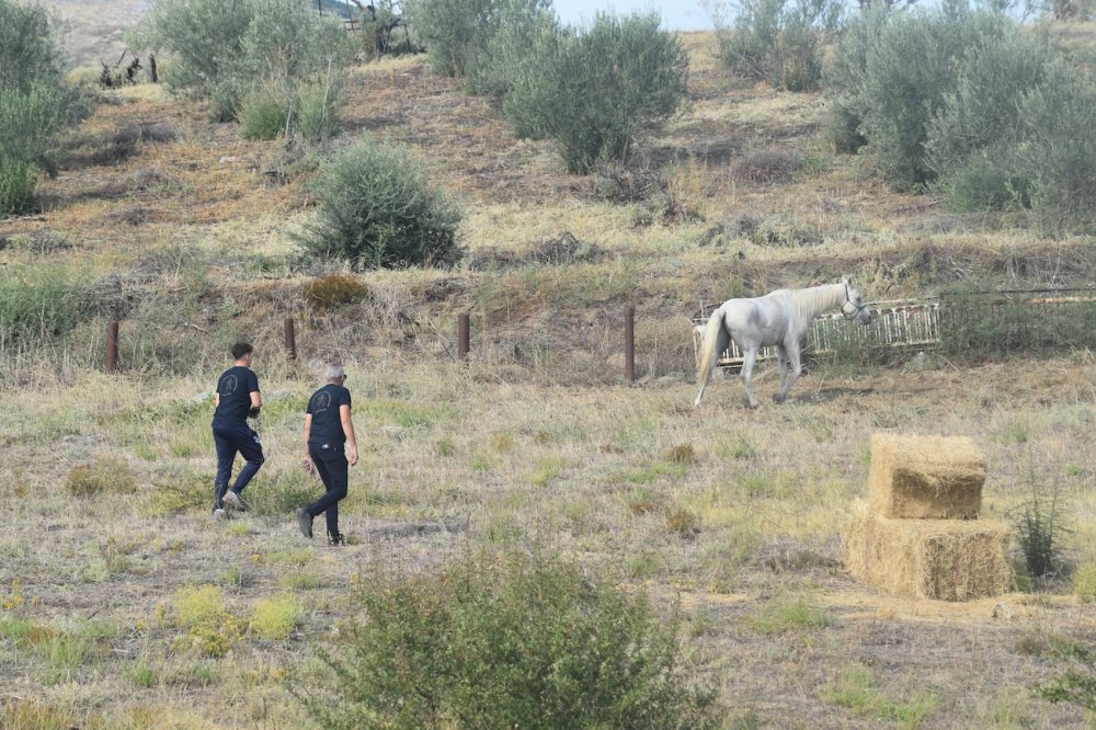Εικόνες από την 5η Ιππική Συνάντηση