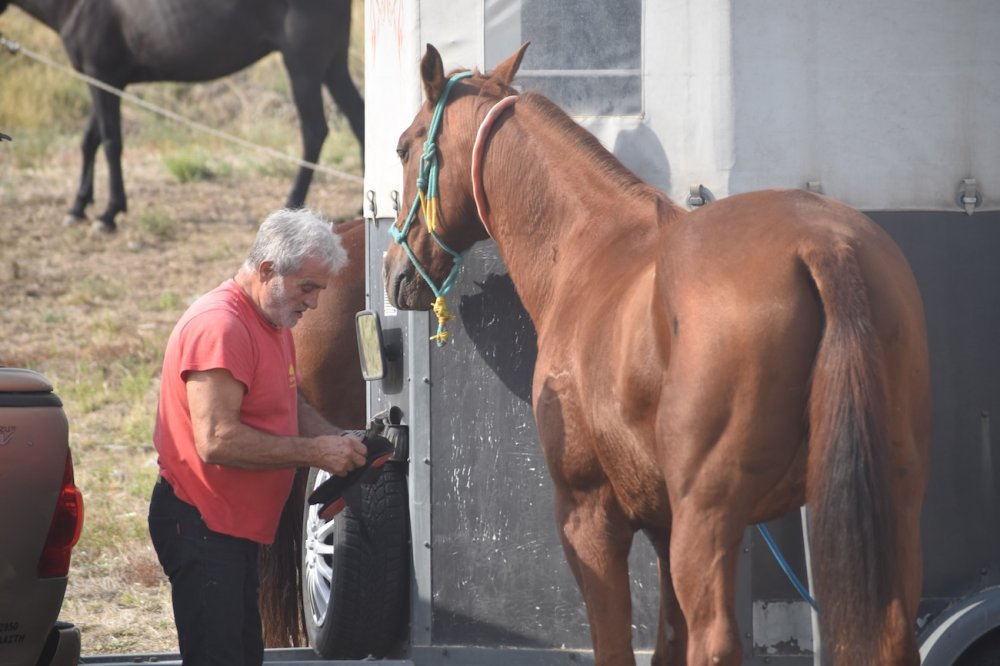 Εικόνες από την 5η Ιππική Συνάντηση