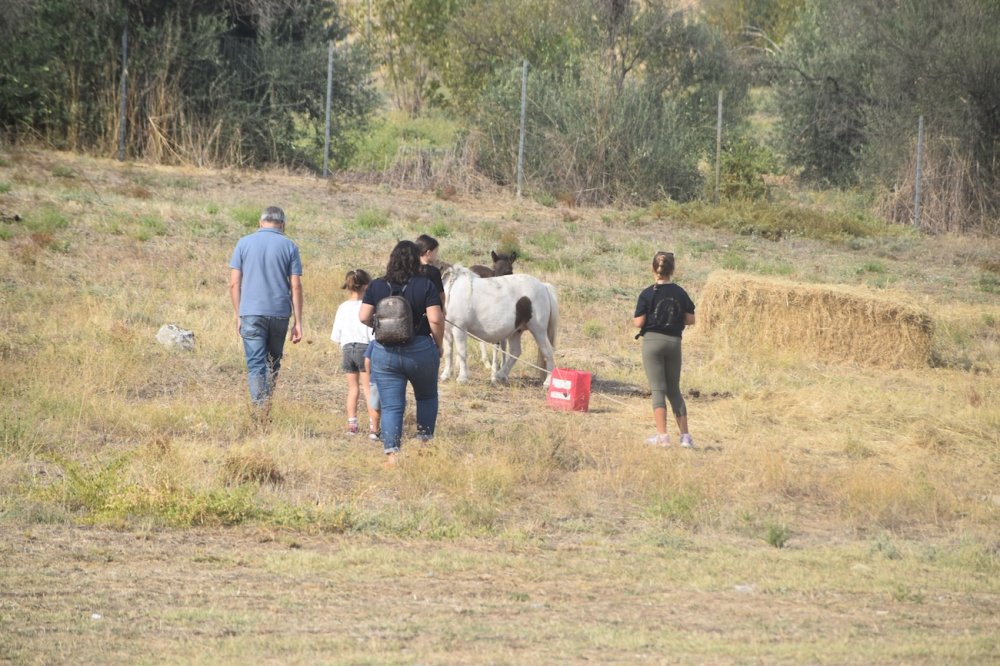 Εικόνες από την 5η Ιππική Συνάντηση