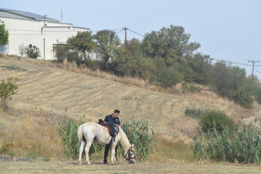 Εικόνες από την 5η Ιππική Συνάντηση