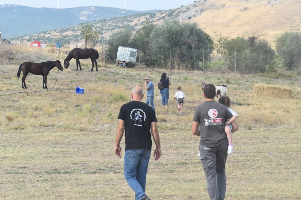 Εικόνες από την 5η Ιππική Συνάντηση
