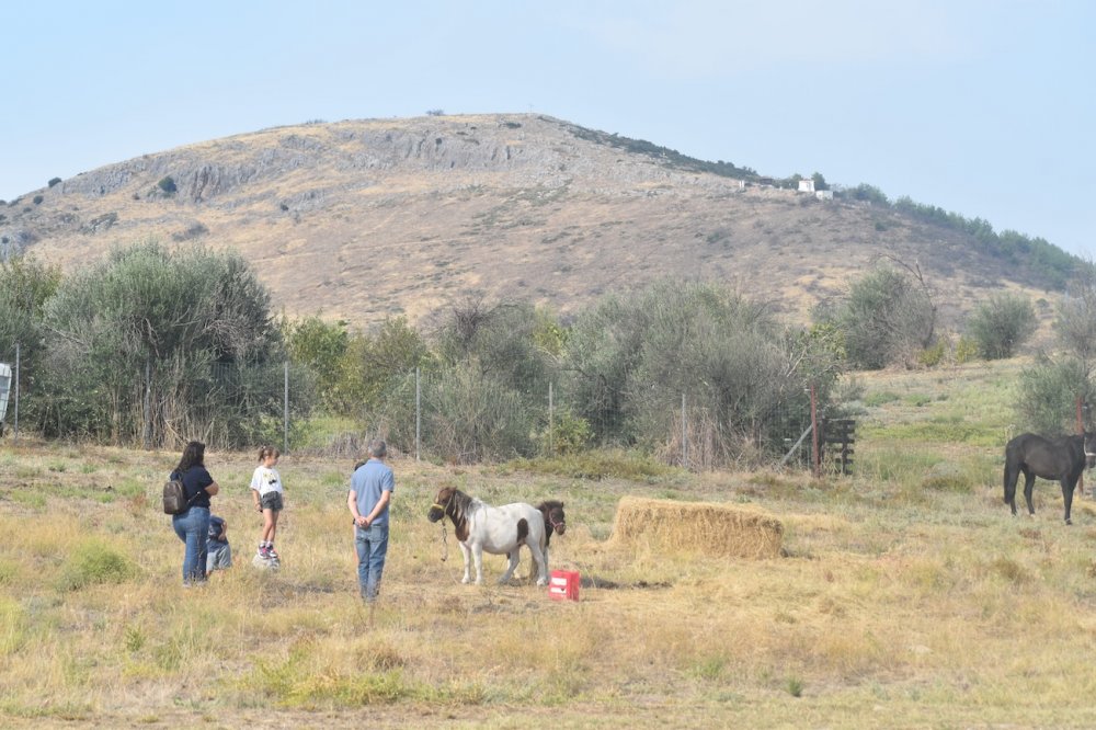 Εικόνες από την 5η Ιππική Συνάντηση