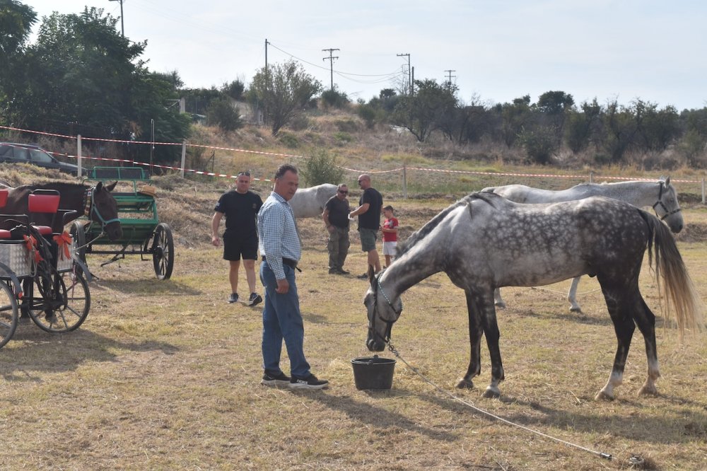 Εικόνες από την 5η Ιππική Συνάντηση