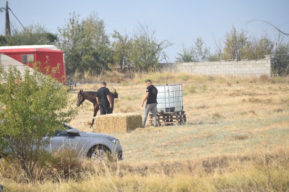 Εικόνες από την 5η Ιππική Συνάντηση