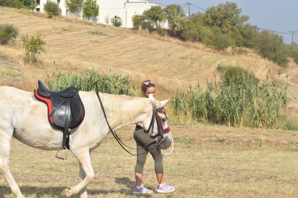 Εικόνες από την 5η Ιππική Συνάντηση